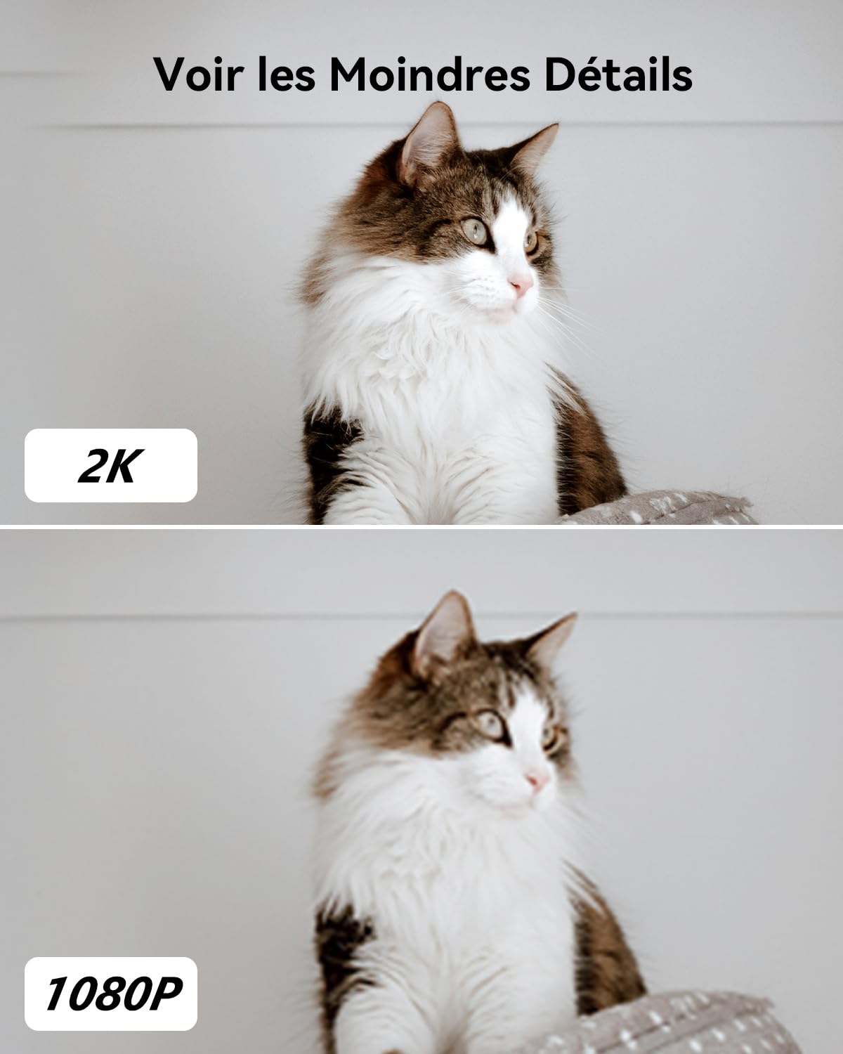 Imou 2K(3MP) Caméra Surveillance WiFi Intérieure Caméra 360° Connectée Smartphone avec Détection Humaine AI Suivi Intelligent Sirène Audio Bidirectionnel Compatible Alexa pour Bébé/Animaux