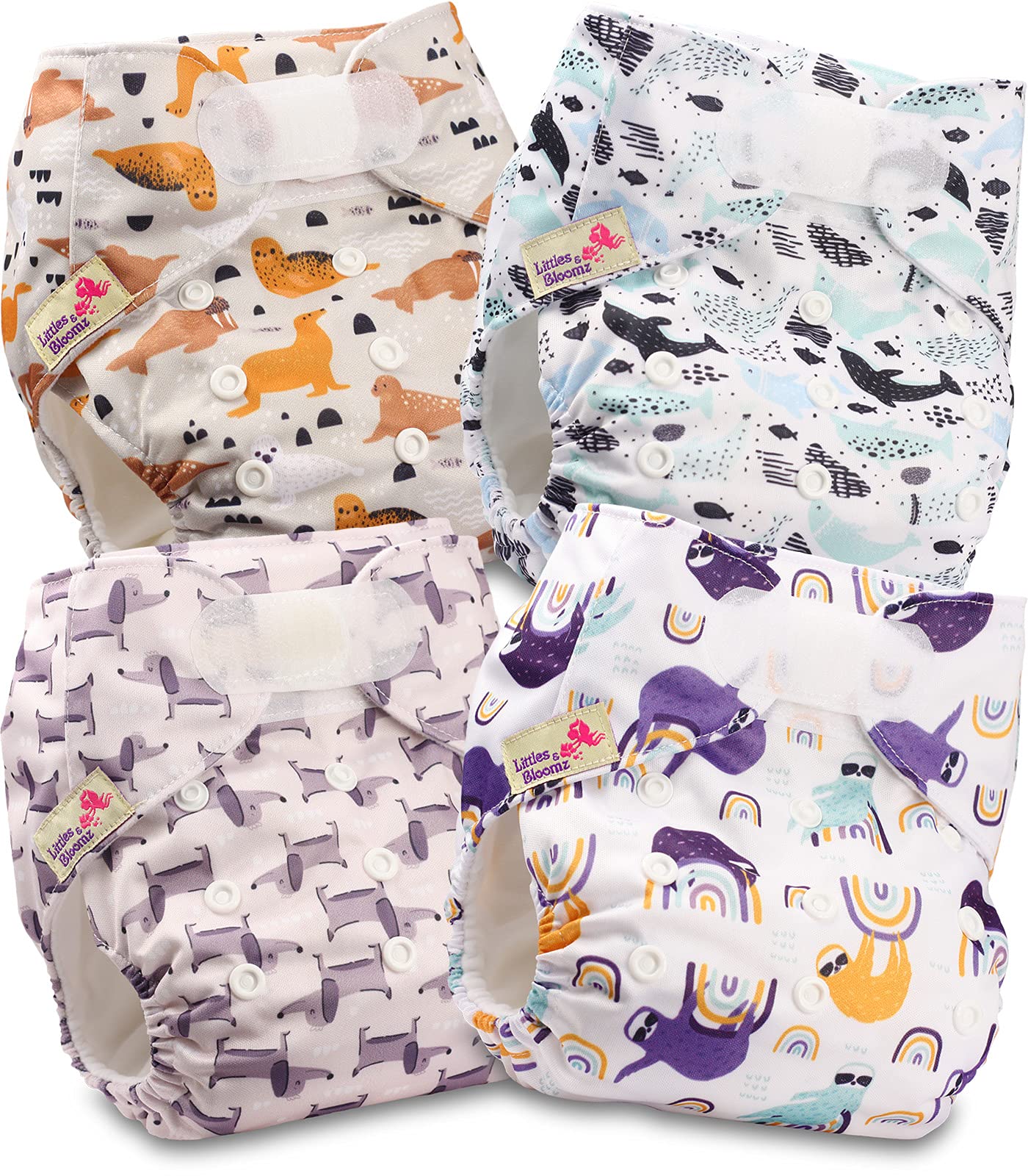 Littles & Bloomz Lot de 6 Couches Réutilisables Lavable pour Bébé avec Fermeture Crochet et Boucle, FLV2-0608