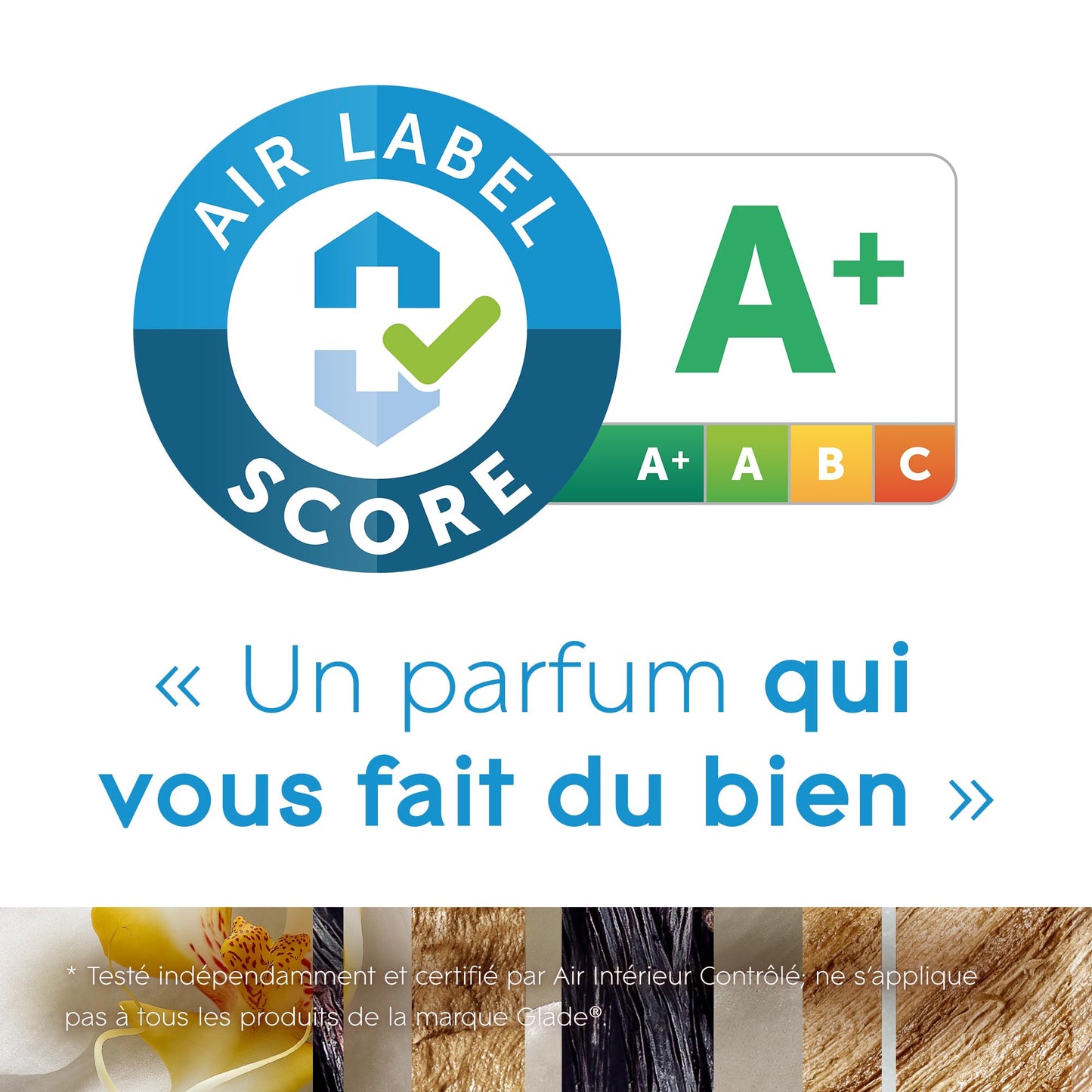 Glade Sense & Spray Diffuseur à Détection de Mouvement - Infusé Aux Huiles Essentielles - Jusqu'à 2 Mois de Parfum - Sensual Sandalwood & Jasmine - 1 Diffuseur + 1 Recharge