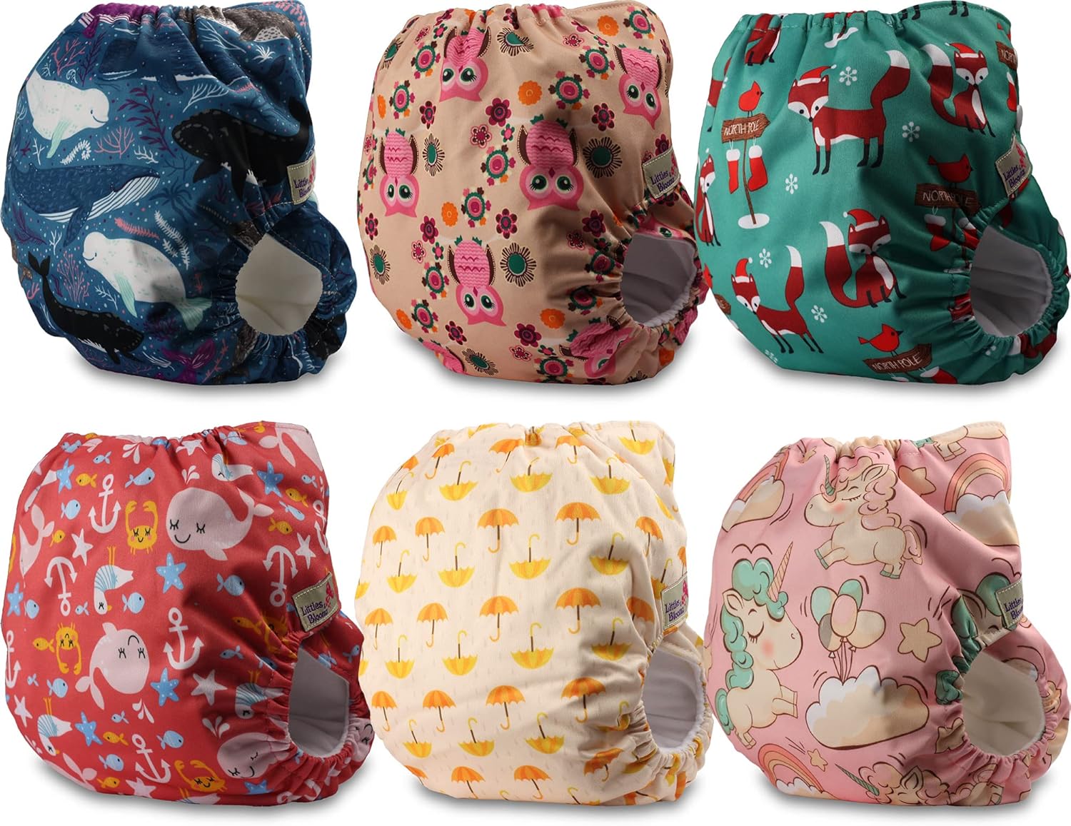 Littles & Bloomz Lot de 6 Couches Réutilisables Lavable pour Bébé avec Fermeture Crochet et Boucle, FLV2-0608