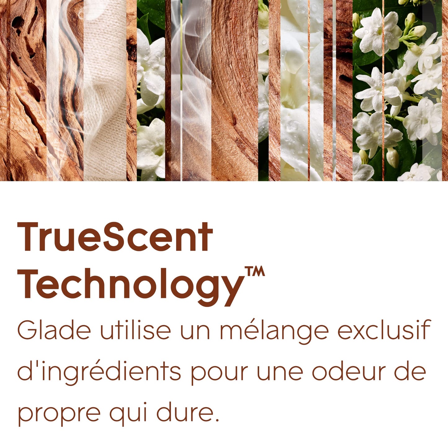 Glade Sense & Spray Diffuseur à Détection de Mouvement - Infusé Aux Huiles Essentielles - Jusqu'à 2 Mois de Parfum - Sensual Sandalwood & Jasmine - 1 Diffuseur + 1 Recharge
