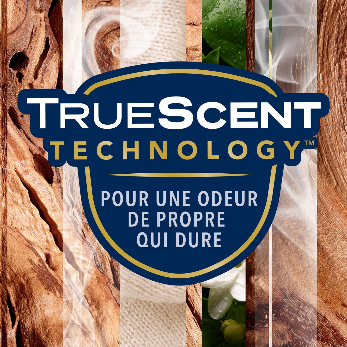 Glade Sense & Spray Diffuseur à Détection de Mouvement - Infusé Aux Huiles Essentielles - Jusqu'à 2 Mois de Parfum - Sensual Sandalwood & Jasmine - 1 Diffuseur + 1 Recharge