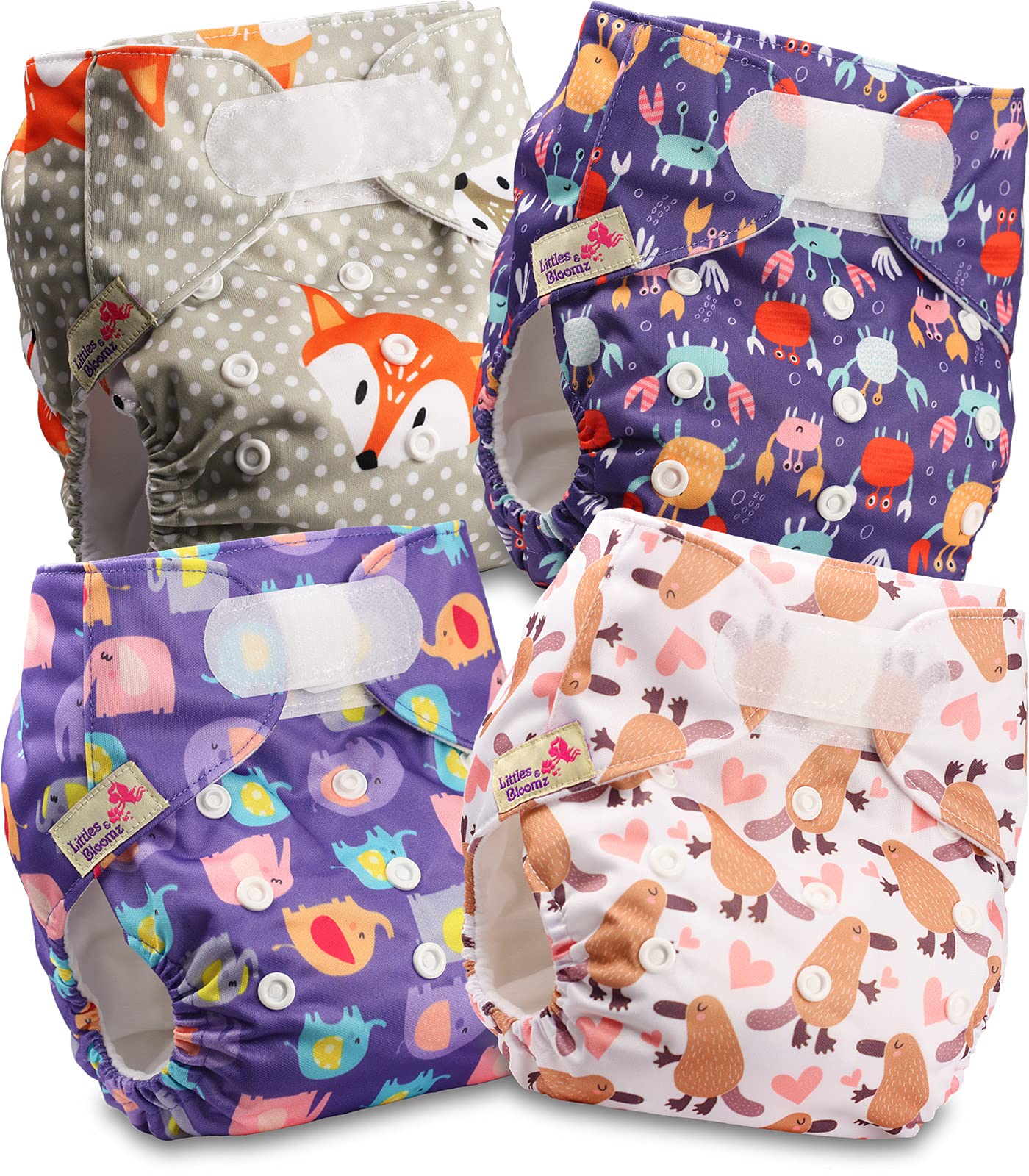 Littles & Bloomz Lot de 6 Couches Réutilisables Lavable pour Bébé avec Fermeture Crochet et Boucle, FLV2-0608
