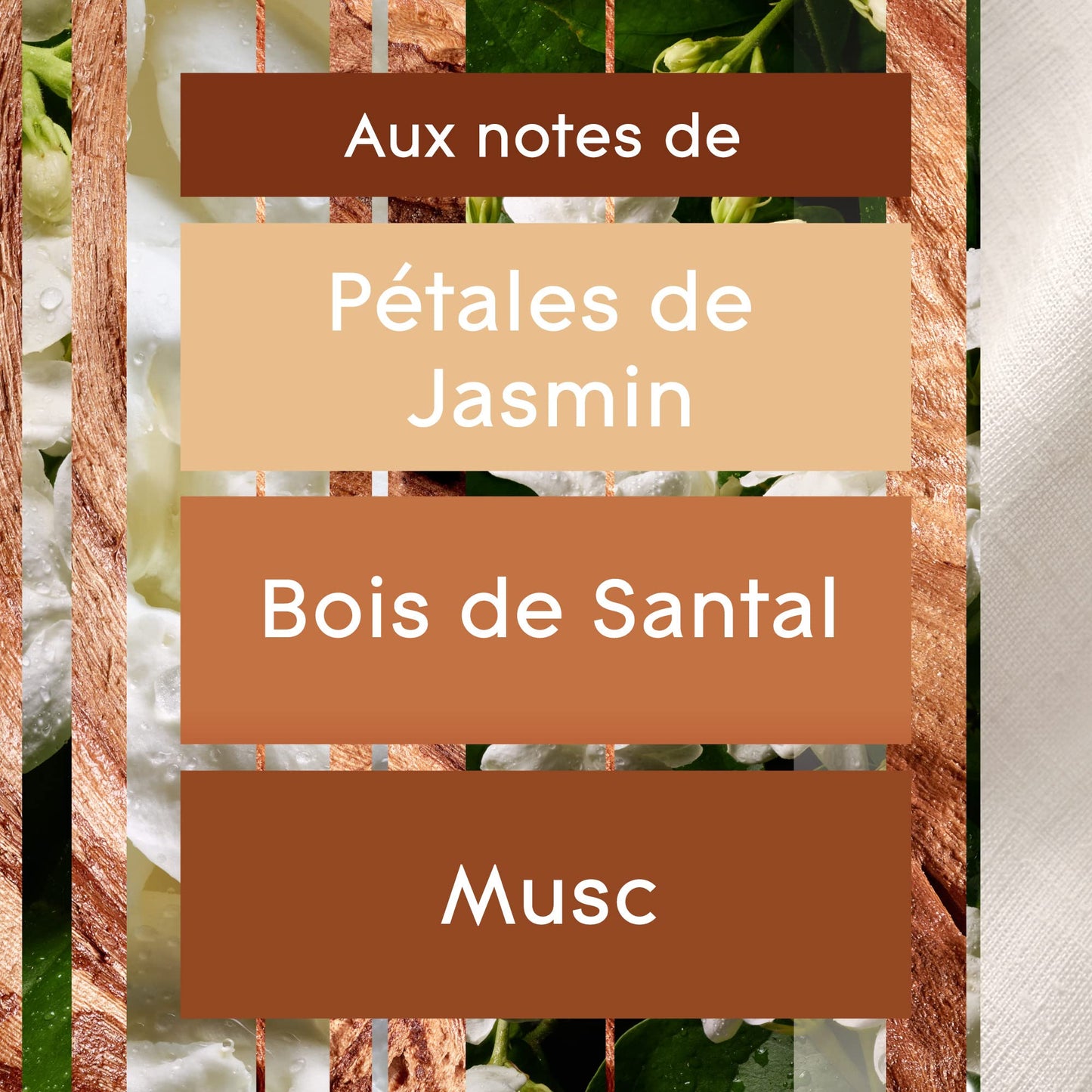 Glade Sense & Spray Diffuseur à Détection de Mouvement - Infusé Aux Huiles Essentielles - Jusqu'à 2 Mois de Parfum - Sensual Sandalwood & Jasmine - 1 Diffuseur + 1 Recharge