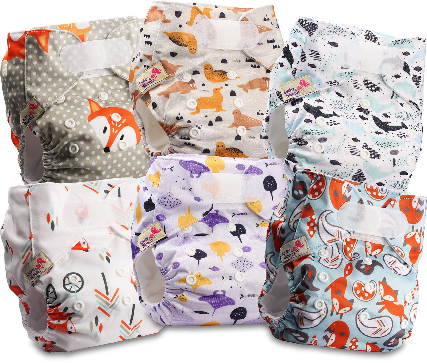 Littles & Bloomz Lot de 6 Couches Réutilisables Lavable pour Bébé avec Fermeture Crochet et Boucle, FLV2-0608