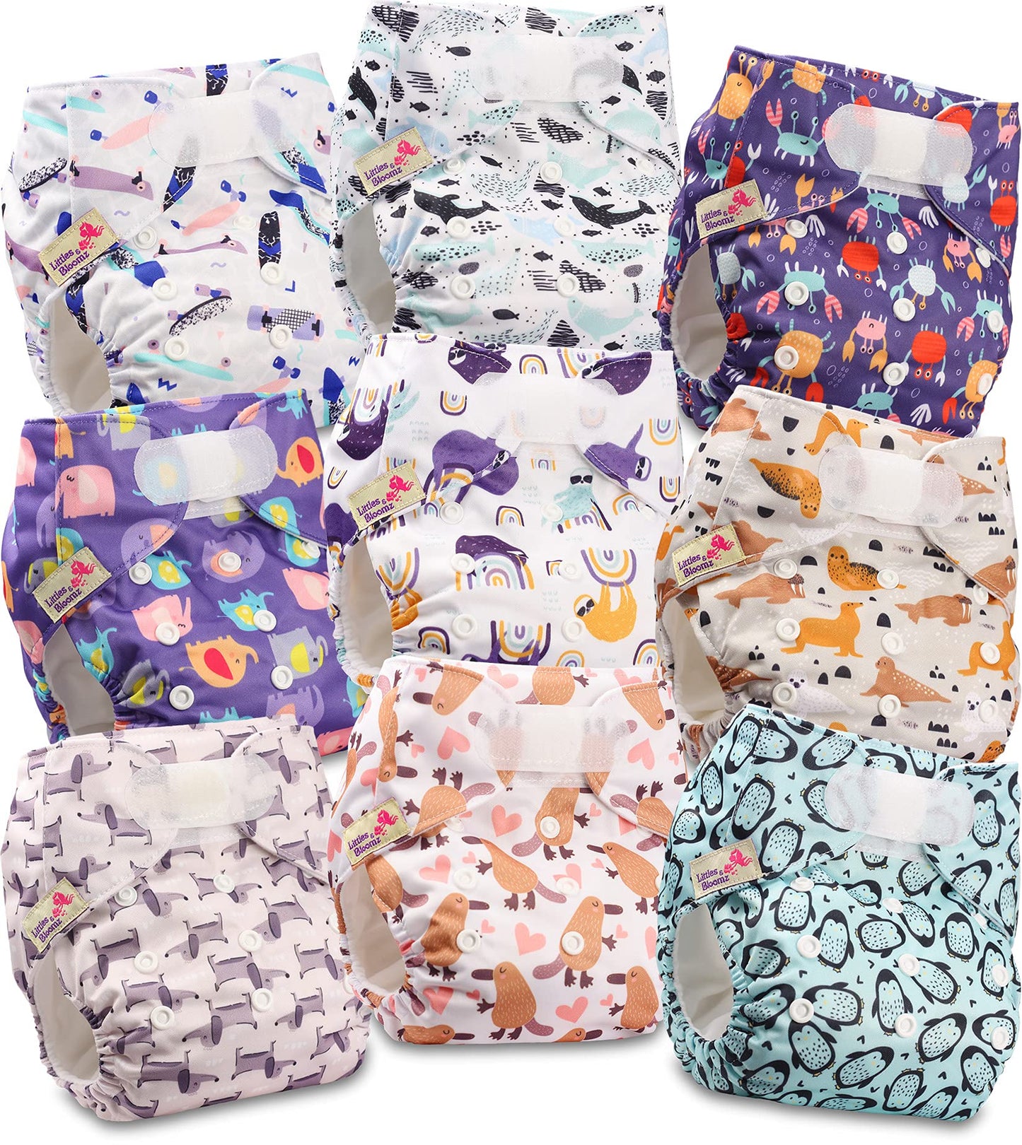 Littles & Bloomz Lot de 6 Couches Réutilisables Lavable pour Bébé avec Fermeture Crochet et Boucle, FLV2-0608