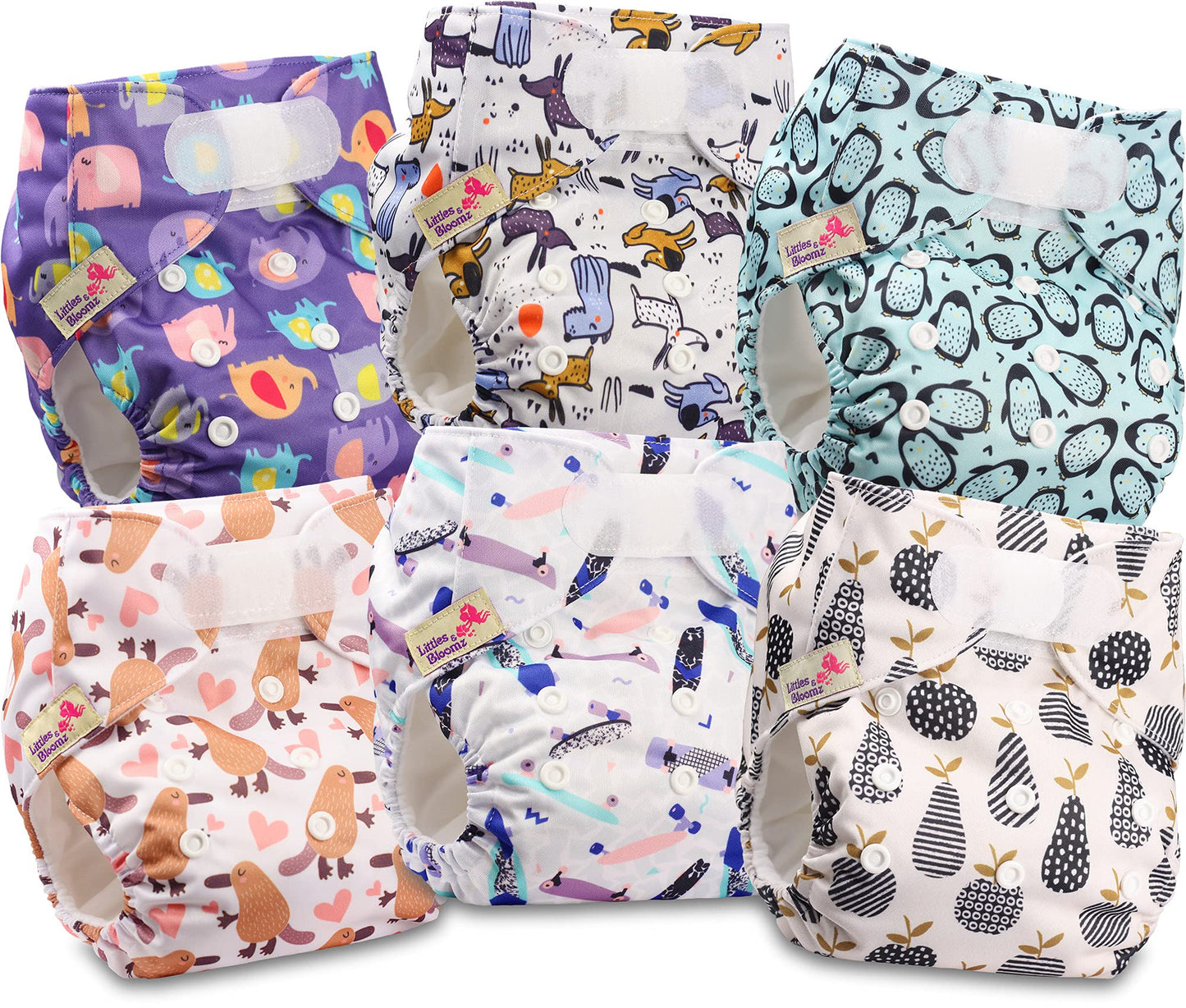 Littles & Bloomz Lot de 6 Couches Réutilisables Lavable pour Bébé avec Fermeture Crochet et Boucle, FLV2-0608