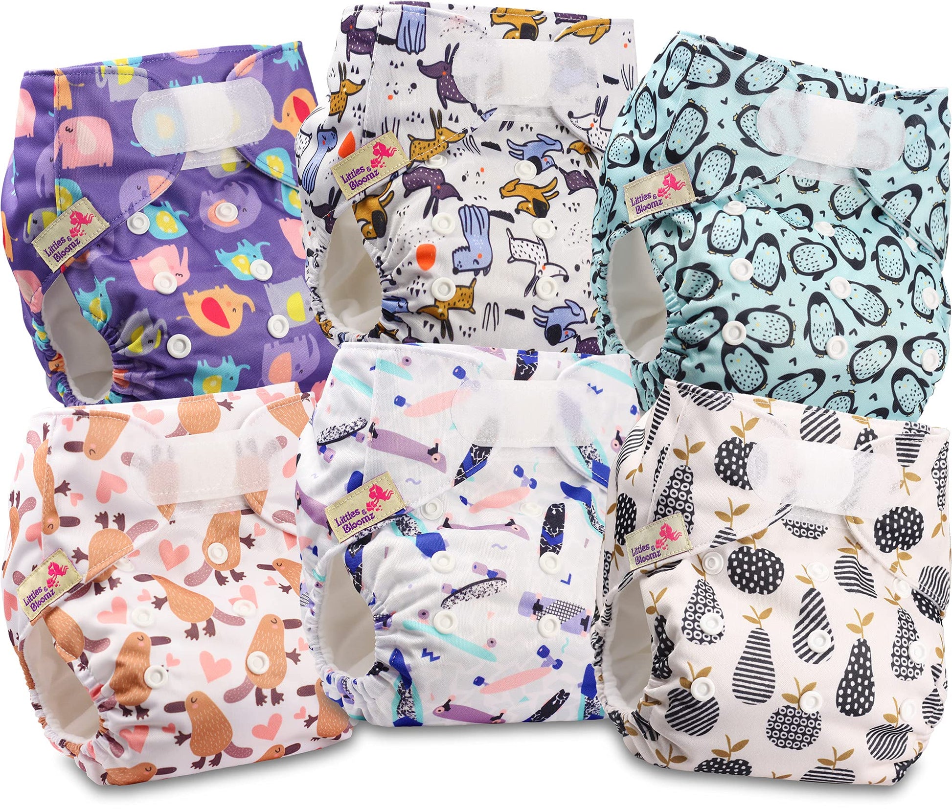 Littles & Bloomz Lot de 6 Couches Réutilisables Lavable pour Bébé avec Fermeture Crochet et Boucle, FLV2-0608