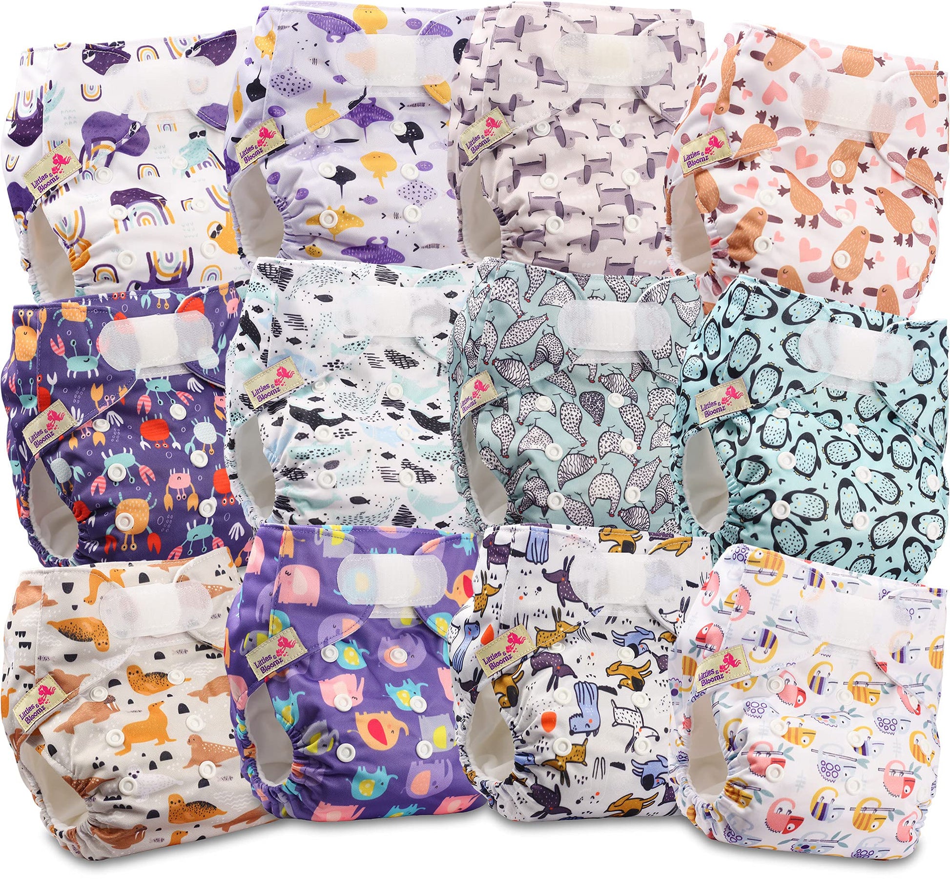 Littles & Bloomz Lot de 6 Couches Réutilisables Lavable pour Bébé avec Fermeture Crochet et Boucle, FLV2-0608